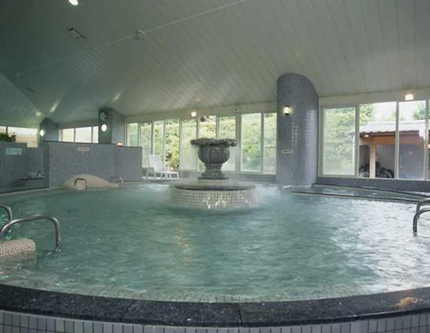 天然グリーンランド温泉　弥生乃湯（閉館しました）