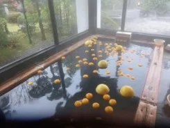 金波楼