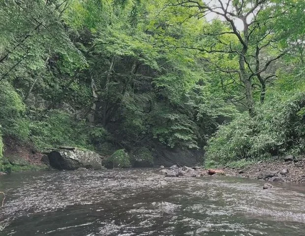 MIKI TAO SAUNA