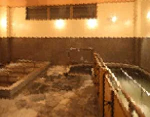 湯山別荘たいち(閉館しました)