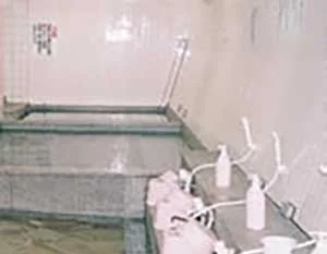 元湯　佐俣の湯（閉館しました）