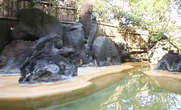 大洞窟の宿 湯楽亭