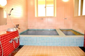 十和田湖畔温泉　十和田湖山荘 - 青森県