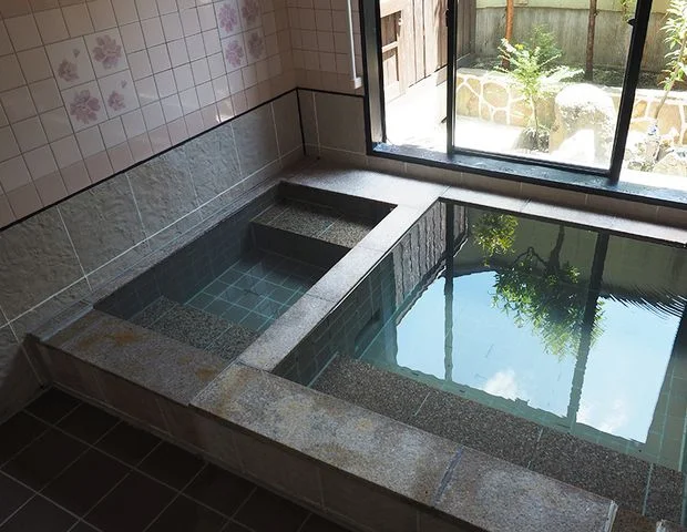 天然温泉　野の湯