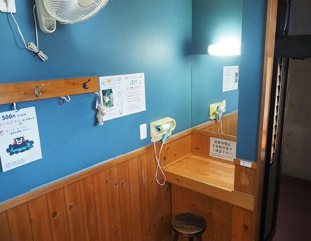 天然温泉　野の湯