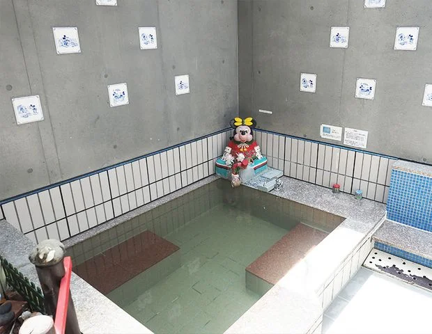 天然温泉　野の湯