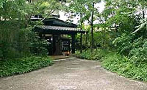 木立ちの中の宿 清流荘