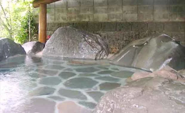 木立ちの中の宿 清流荘