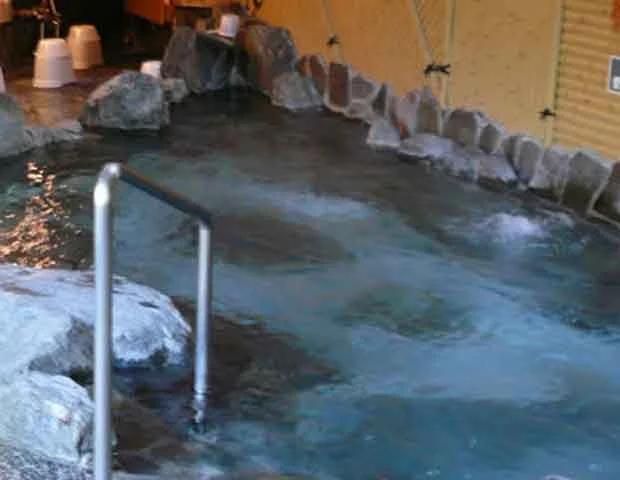 湯山温泉 元湯
