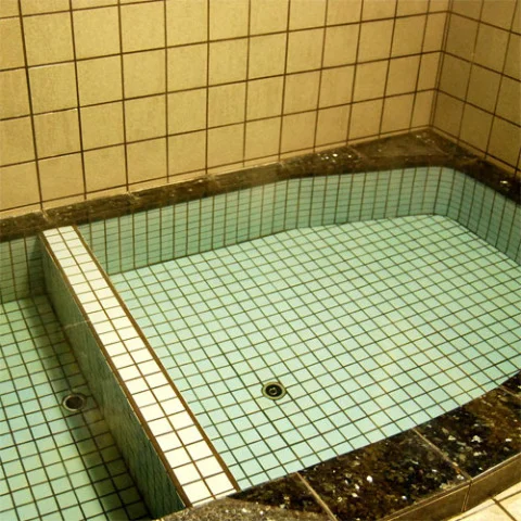 Hinagu Onsen Shinhamaryokan - Kumamoto