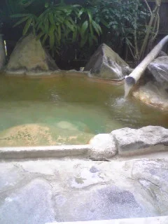 湯の児温泉 平野屋(閉館しました)