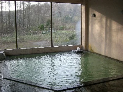 奥州胆沢温泉 瑞月(旧 すぱおあご)(閉館しました)