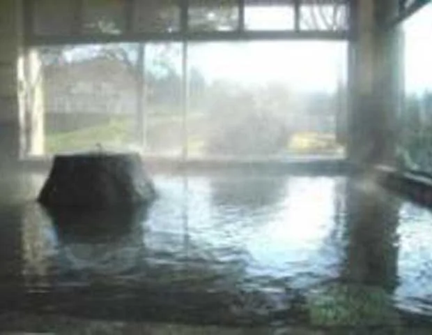 南阿蘇村総合福祉温泉センター ウィナス(閉館しました)