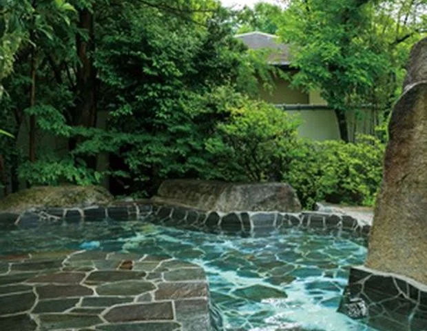 城南天然温泉旅館（旧くまもと城南温泉スポーツ文化センター）（閉館しました）