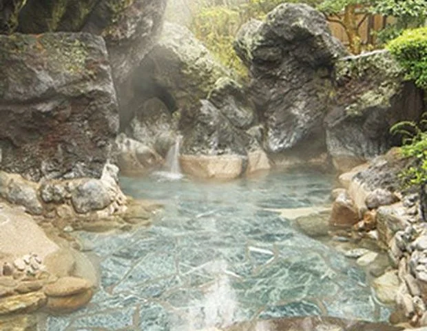 城南天然温泉旅館（旧くまもと城南温泉スポーツ文化センター）（閉館しました）