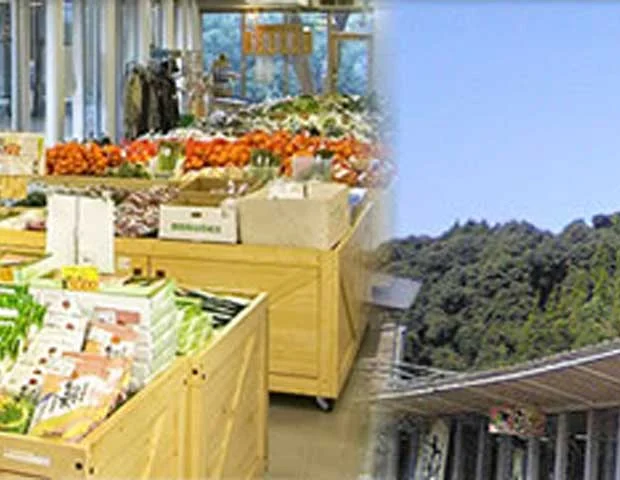 石段の郷 佐俣の湯