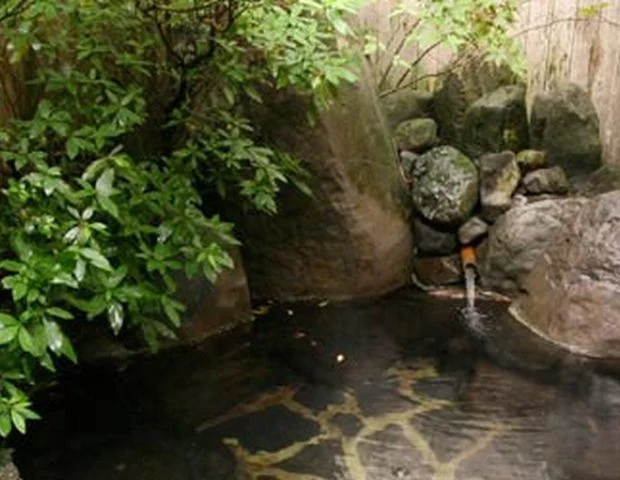 植木温泉 旅館いろは