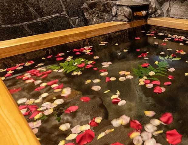 黒川　森の樹木