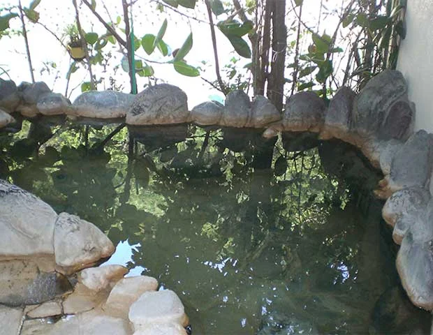 天草下田温泉センター白鷺館（しらさぎかん）