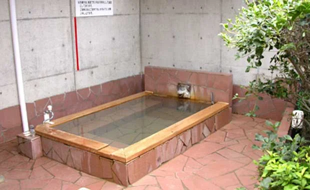 天然温泉 きしゃぽっぽ