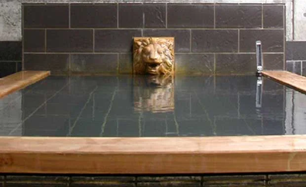 天然温泉 きしゃぽっぽ