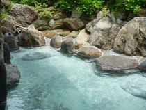 山川温泉 しらはなシンフォニー