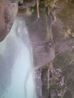 山川温泉 しらはなシンフォニー