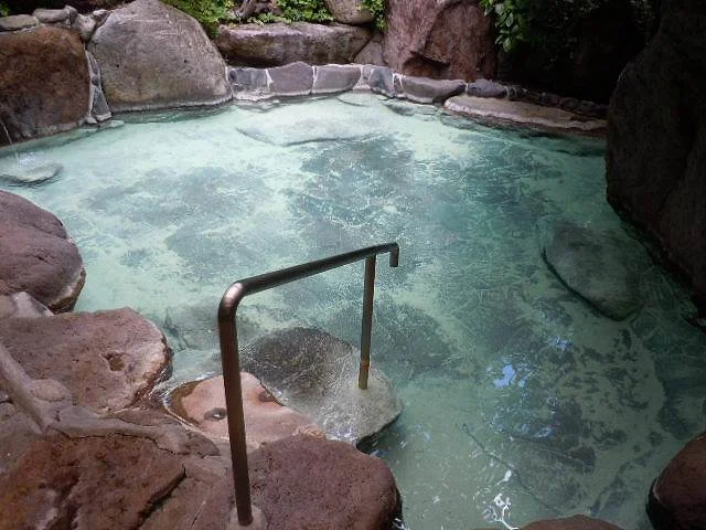 山川温泉 しらはなシンフォニー