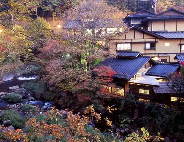 瀬の本館 夢龍胆
