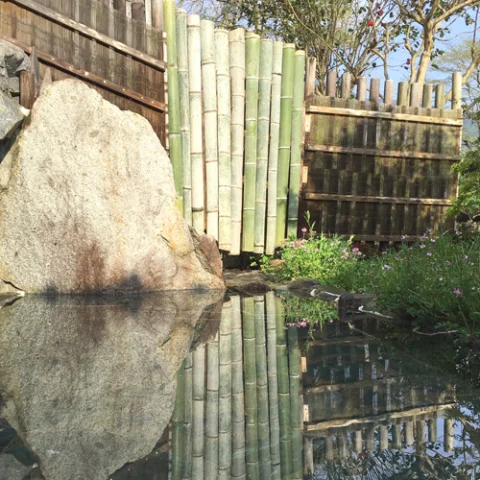 温泉旅館　水上荘 - 熊本県