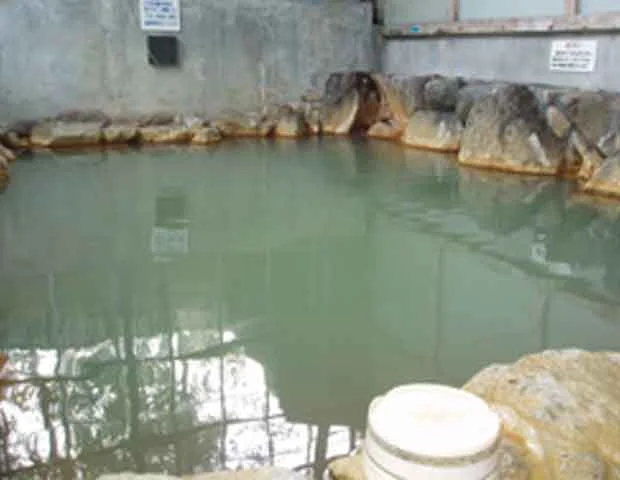 花の温泉館（閉館しました）