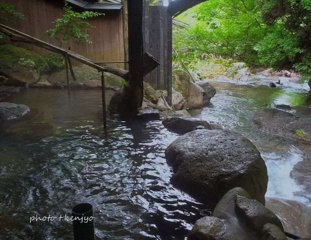 お宿 野の花
