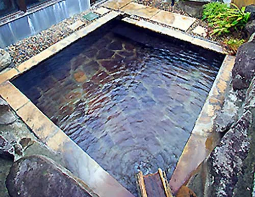 奥州平泉温泉 そば庵しづか亭（旧 藤原の舘）