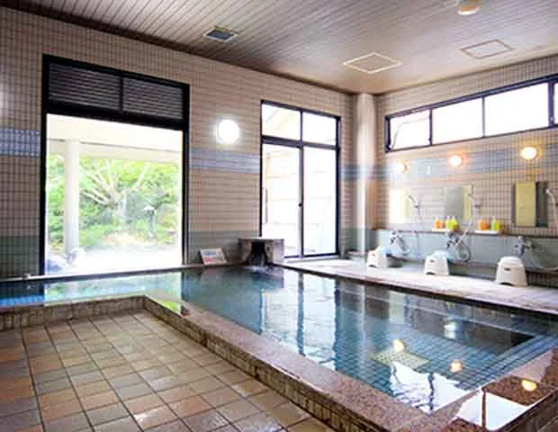 栃木温泉 旅館朝陽 こころの湯