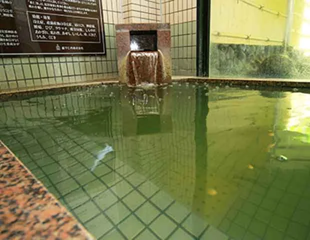 栃木温泉 旅館朝陽 こころの湯