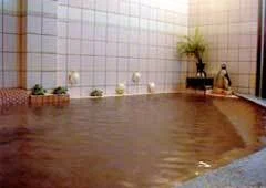 Yunoji Onsen Matsubara-so - Kumamoto