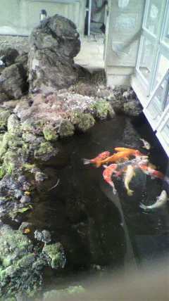 阿蘇白水温泉 瑠璃