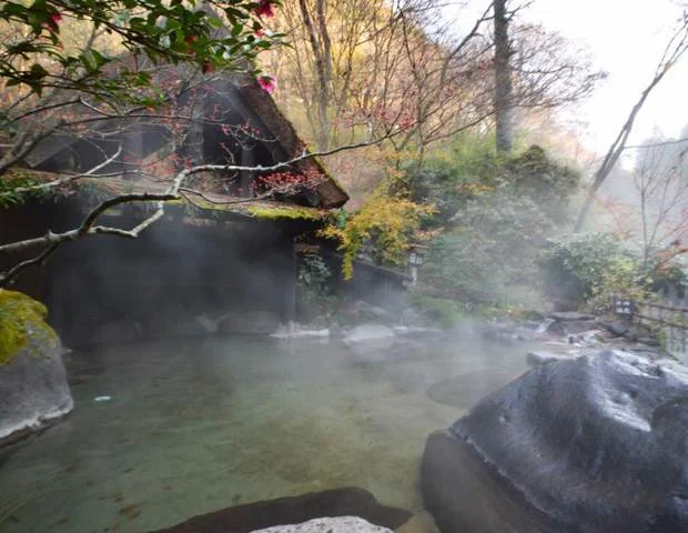 旅館 奥の湯