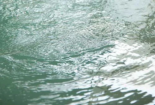 フォトアルバム5