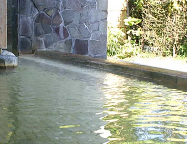 高鍋温泉めいりんの湯（たかなべおんせん）