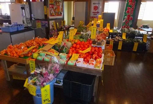 フォトアルバム12