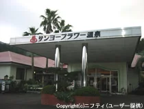 Sunny Flower Hot Spring - Miyazaki