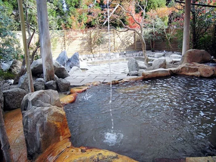恵の湯 神の郷温泉（閉館しました）