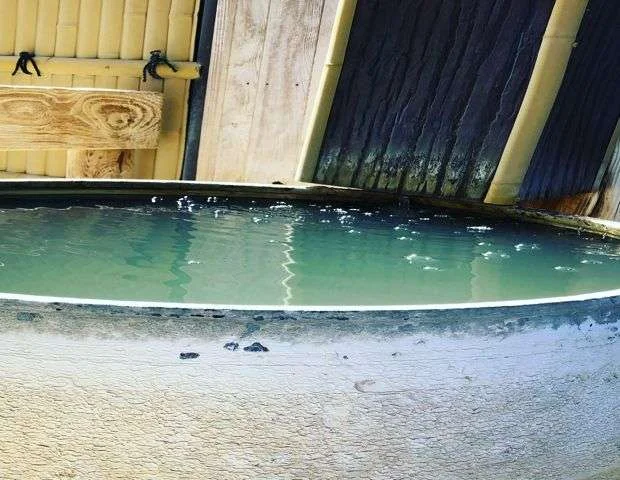 こばやし温泉 美人の湯（小林温泉）
