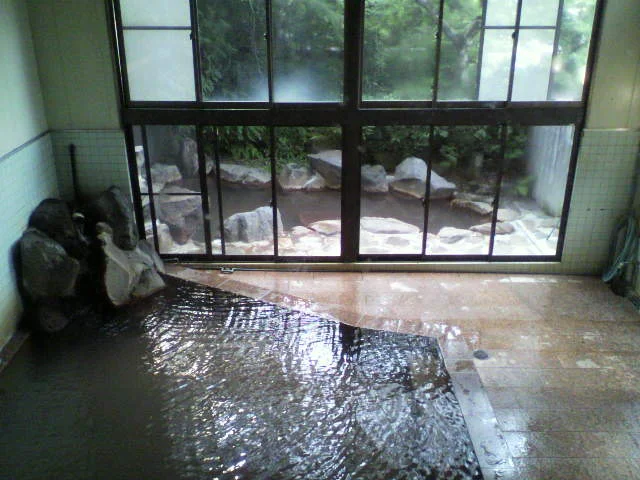 白鳥温泉下湯