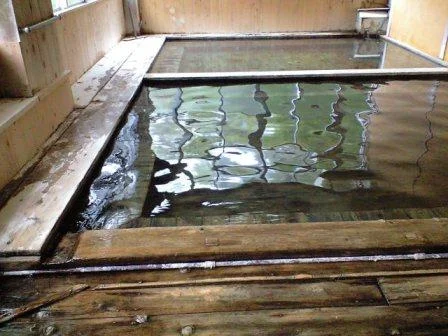夏油温泉観光ホテル