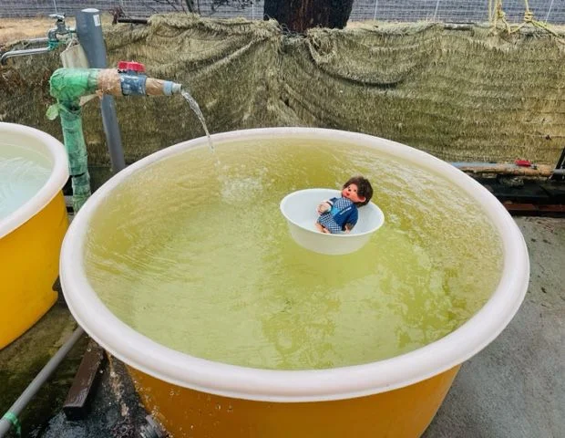 あきしげ湯
