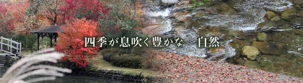 青井岳温泉（旧　青井岳荘）