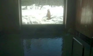 クアハウス巣郷温泉