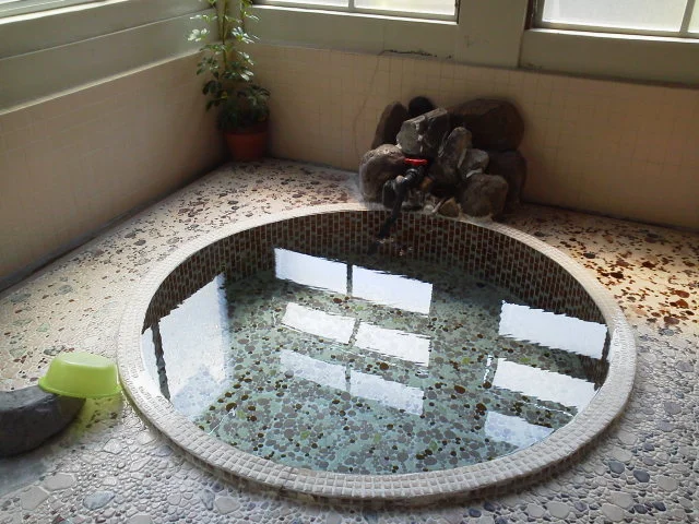 市比野温泉 割烹旅館 みどり屋